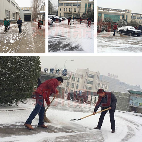 2015���ݶ����T����ѩ���